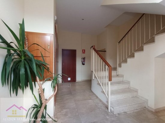 Dúplex en Venta en Castelló De La Plana(Castellón De La Plana) CENTRO Castellón