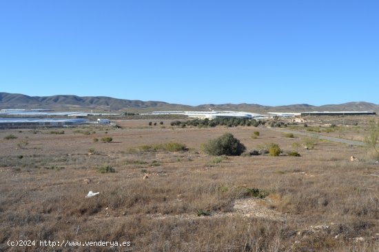 Suelo rústico en Venta en Hornillos Almería