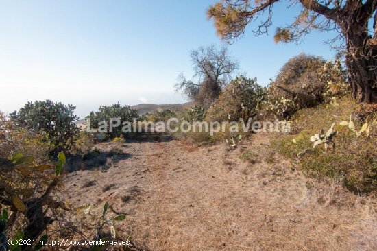 Suelo rústico en Venta en Puntagorda Santa Cruz de Tenerife