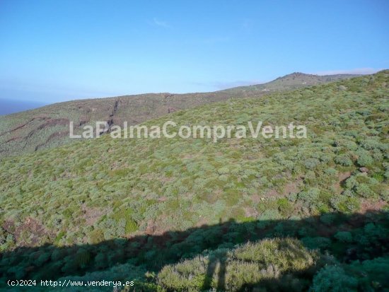 Suelo rústico en Venta en Tricias, Las Santa Cruz de Tenerife