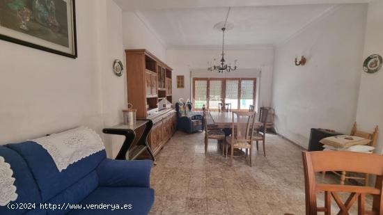  SE VENDE CASA EN PINOSO (ALICANTE) SPAIN - ALICANTE 