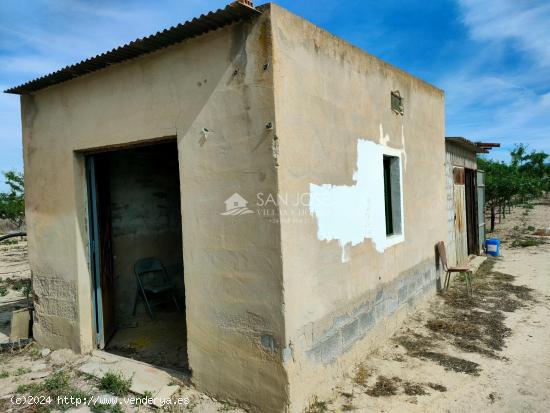 SE VENDE PARCELA PLANTADA DE ALMENDROS CON CASITA Y AGUA DE RIEGO - ALICANTE