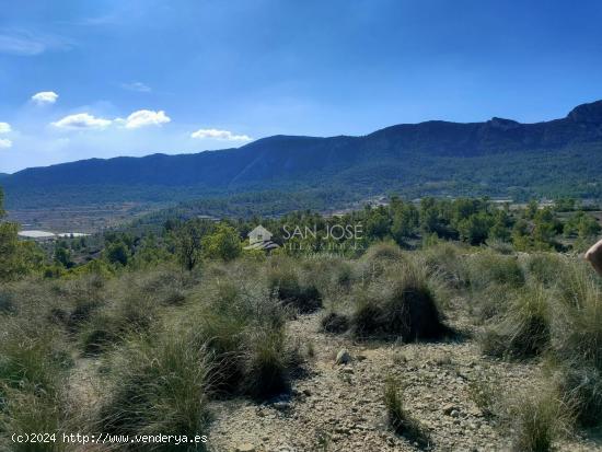  VENTA DE TERRENO CON CUEVA EN LA ROMANA - ALICANTE 