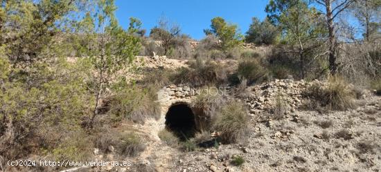 VENTA DE TERRENO CON CUEVA EN LA ROMANA - ALICANTE