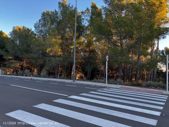 ALMOSTER - TERRENO URBANO EN EL PICARANY - TARRAGONA