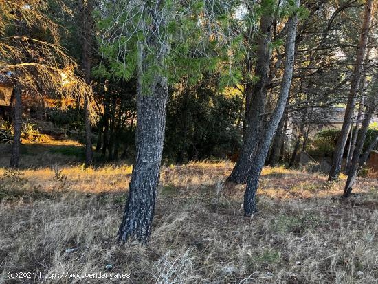 ALMOSTER - TERRENO URBANO EN EL PICARANY - TARRAGONA