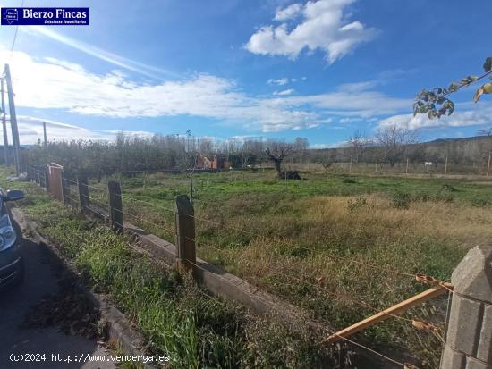 SE VENDE TERRENO URBANO EN VILLAVERDE DE LOS CESTOS - LEON