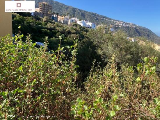 TERRENO URBANO EN ICOD DE LOS VINOS - SANTA CRUZ DE TENERIFE