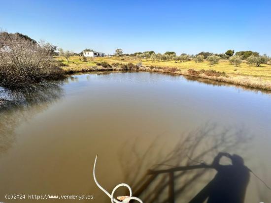 PARCELA EN EL MANANTIO - BADAJOZ