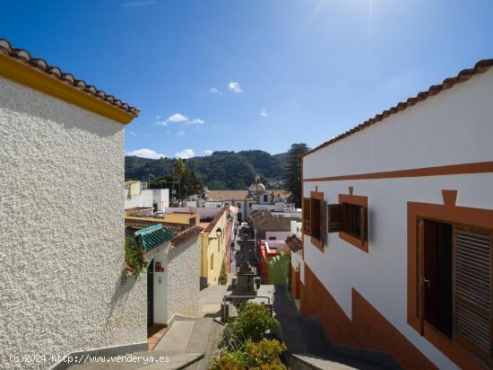 UNA JOYA EN PLENO CASCO DE TEROR CON VISTAS A LA BASÍLICA - LAS PALMAS