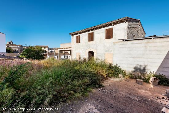 Chalet UNIFAMILIAR en BUC (en construcción/a reformar). - BALEARES