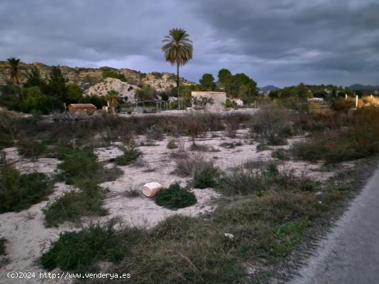 Se vende finca en Ulea - MURCIA