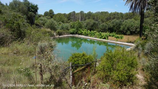 Casa de campo en alquiler a 3.5 Km del nucleo urbano de Calvià - BALEARES