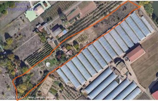 Parcela de terreno en el término La Isla, junto a La Guillerma y el Club Deportivo Berceo - LA RIOJ