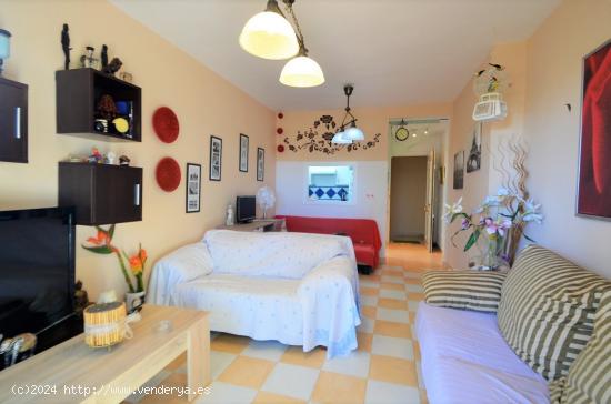 SE VENDE APARTAMENTO DE 2 DORMITORIOS EN ZONA VIA PARQUE, BENIDORM! SEVENDGROUP.COM! - ALICANTE