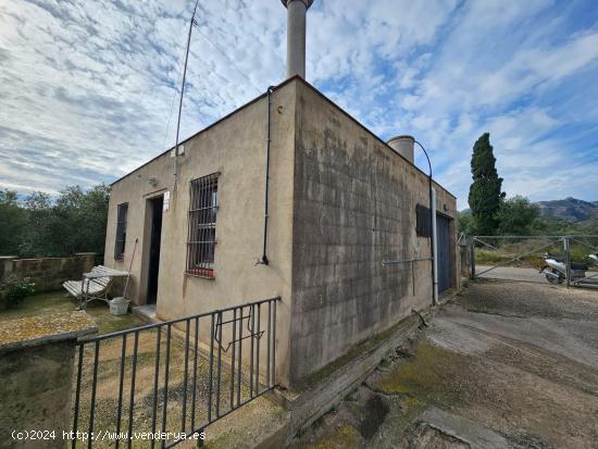  FINCA A 200M DE LA RÀPITA - TARRAGONA 