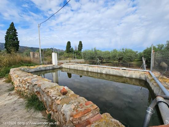 FINCA A 200M DE LA RÀPITA - TARRAGONA