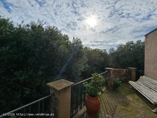 FINCA A 200M DE LA RÀPITA - TARRAGONA