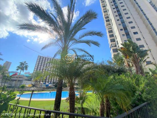 El estilo de vida que mereces, reside en las las alturas de la ciudad de Benidorm. - ALICANTE