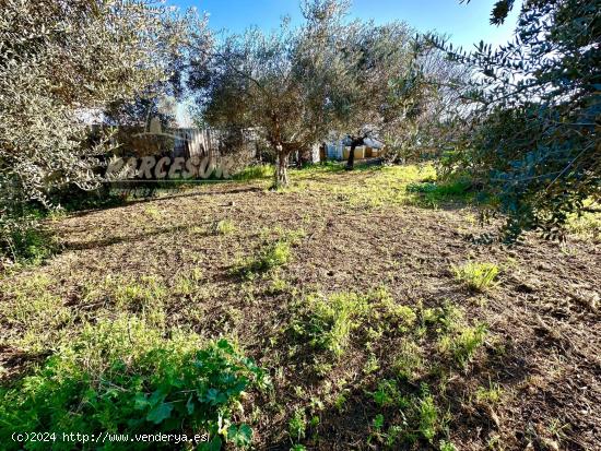 ZONA HIGUERON - Parcela con salon, trastero y baño con agua potable y alcantarillado. - CORDOBA