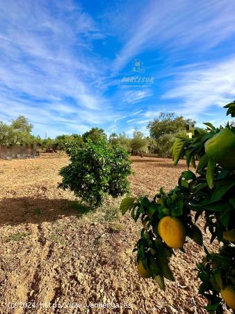 PRECIOSA PARCELA EN ZONA VILLARRUBIA - CORDOBA