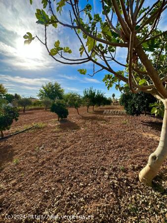 PRECIOSA PARCELA EN ZONA VILLARRUBIA - CORDOBA