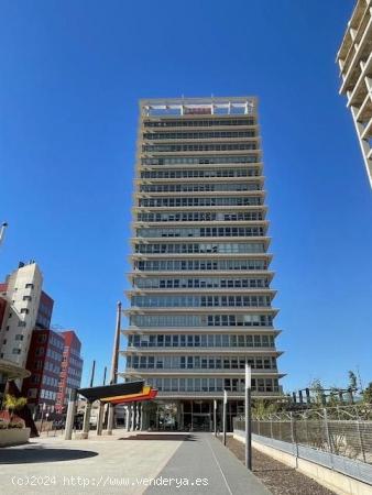 Impresionante planta de oficinas completa, en edificio Torre Godoy. - MURCIA