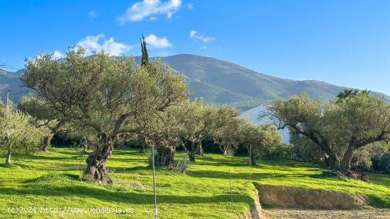  FINCA EN MAJADA VIEJA, ALHAURÍN EL GRANDE - MALAGA 