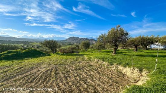 FINCA EN MAJADA VIEJA, ALHAURÍN EL GRANDE - MALAGA