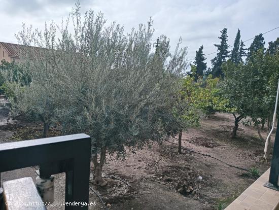 Casa de Campo con cuatro dormitorios y garaje en La Torrecilla - MURCIA