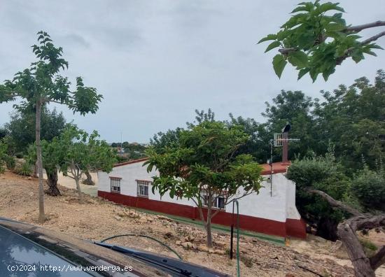  Disfruta de la tranquilidad en esta finca rústica con jardín y piscina propia en L' Ampolla - TARR 