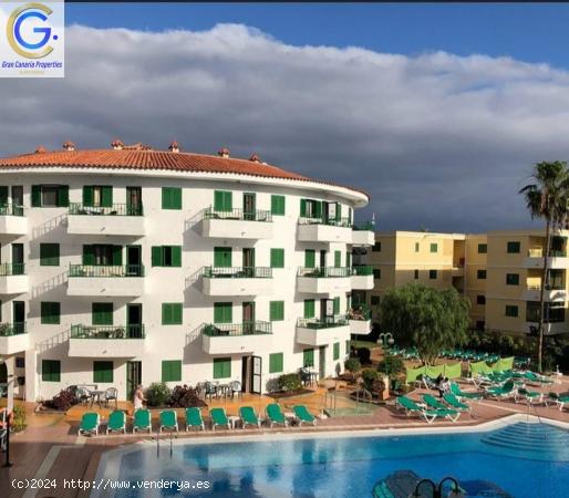 Venta de apartamento en Av. Tenerife, Playa del Ingles. complejo  LAS FAULAS  - LAS PALMAS