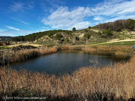 FINCA DE RECREO EN MENDIGORRIA CON ZONA DE ALMACEN, FRUTALES, OLIVOS ETC - NAVARRA