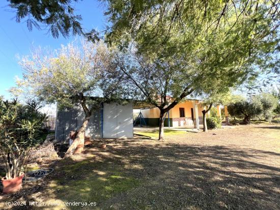 PARCELA RUSTICA CON CASITA (ANTIGUA CARRETERA MIAJADAS) - BADAJOZ