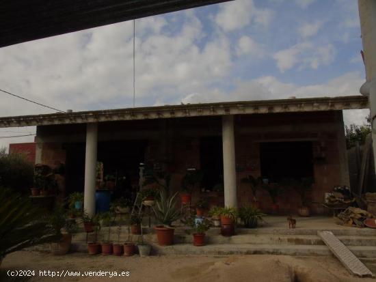 Terreno Urbano - Ceutí, Murcia - MURCIA