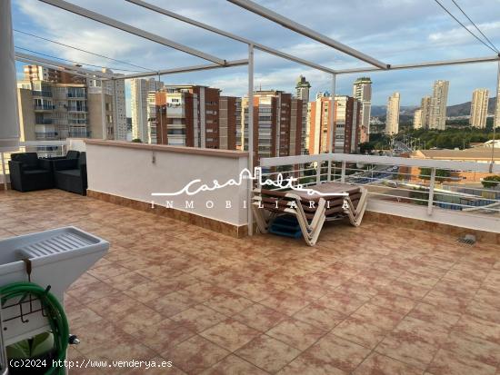 Se vende Ático en Benidorm - ALICANTE