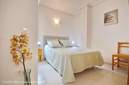 Apartamento en la playa La Mata - ALICANTE