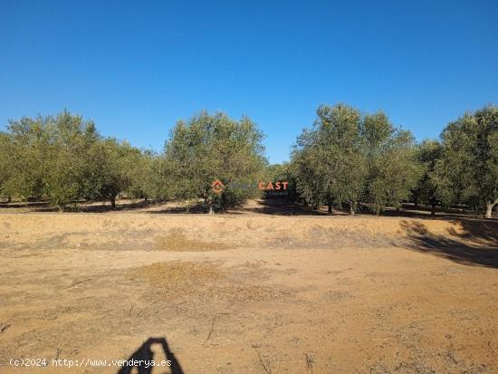  Terreno en venta en L'Ollería - VALENCIA 