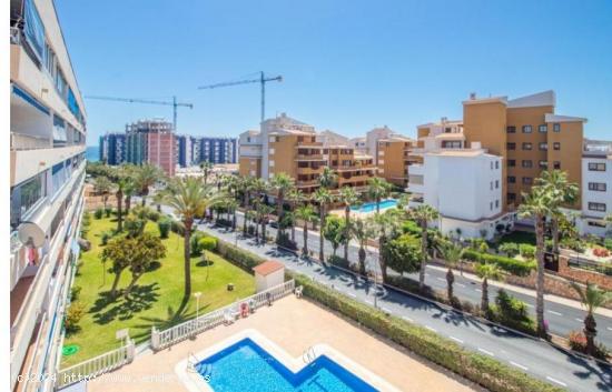  SE ALQUILA APARTMENTO DE 1 DORMITORIO CON PISCINA EN PUNTA PRIMA (ORIHUELA COSTA) TORREVIEJA - ALICA 