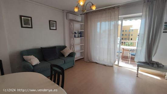 SE ALQUILA APARTMENTO DE 1 DORMITORIO CON PISCINA EN PUNTA PRIMA (ORIHUELA COSTA) TORREVIEJA - ALICA