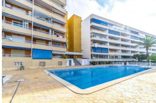 SE ALQUILA APARTMENTO DE 1 DORMITORIO CON PISCINA EN PUNTA PRIMA (ORIHUELA COSTA) TORREVIEJA - ALICA