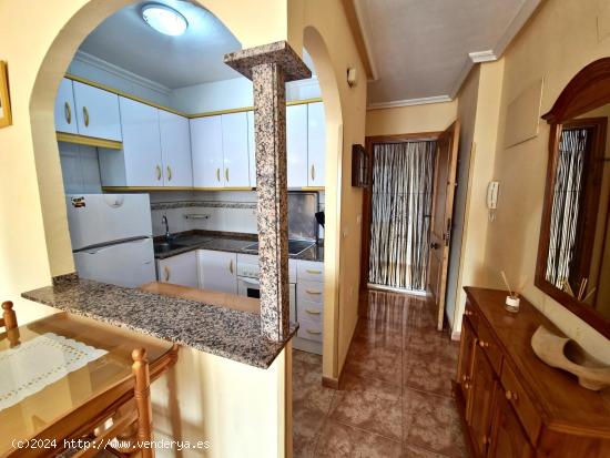 APARTAMENTO DE 2 DORMITORIOS CON BONITAS VISTAS Y PISCINA COMUNITARIA EN NUEVA TORREVIEJA. - ALICANT