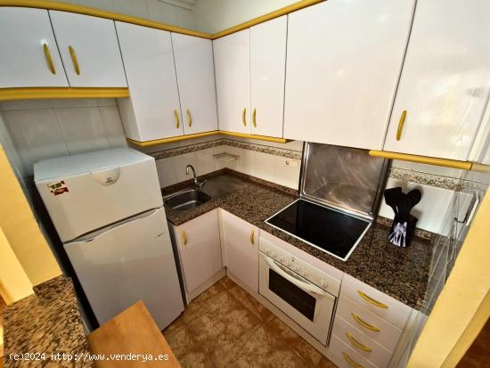 APARTAMENTO DE 2 DORMITORIOS CON BONITAS VISTAS Y PISCINA COMUNITARIA EN NUEVA TORREVIEJA. - ALICANT