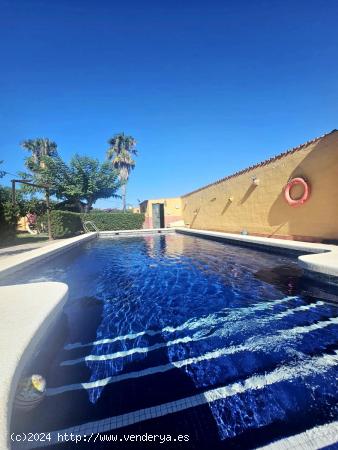 Fantastico Chalets con Piscina  Privada en Dolores - ALICANTE