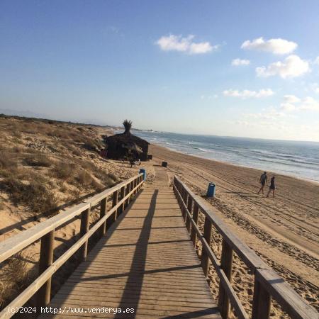 SE ALQUILA CASA DE MADERA INDEPENDIENTE EN ZONA CAMPING DE LA MARINA - ALICANTE