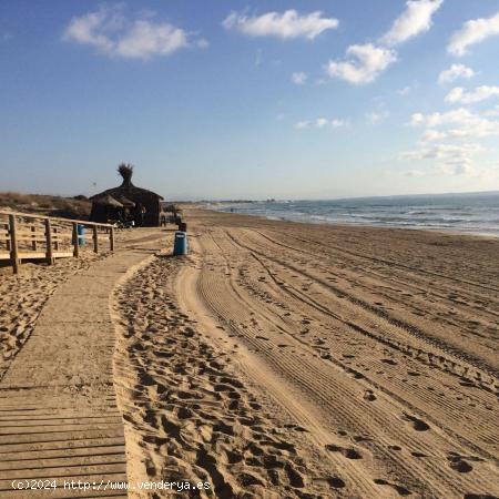 SE ALQUILA CASA DE MADERA INDEPENDIENTE EN ZONA CAMPING DE LA MARINA - ALICANTE