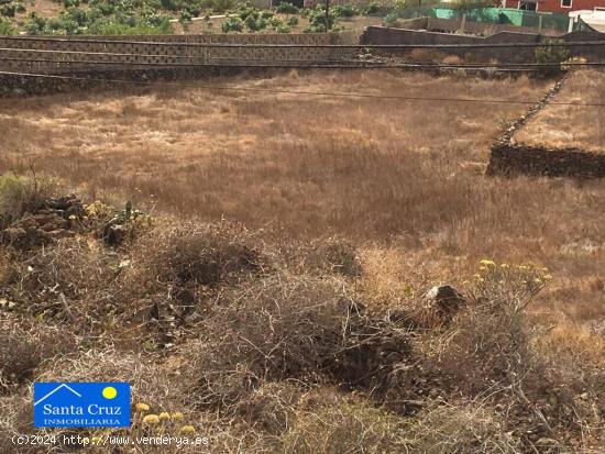  Terreno en venta Buzanada. - SANTA CRUZ DE TENERIFE 