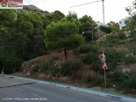 PARCELAS EN ALTEA HILLS CON LICENCIA Y PROYECTO BASICO CADA CASA - ALICANTE