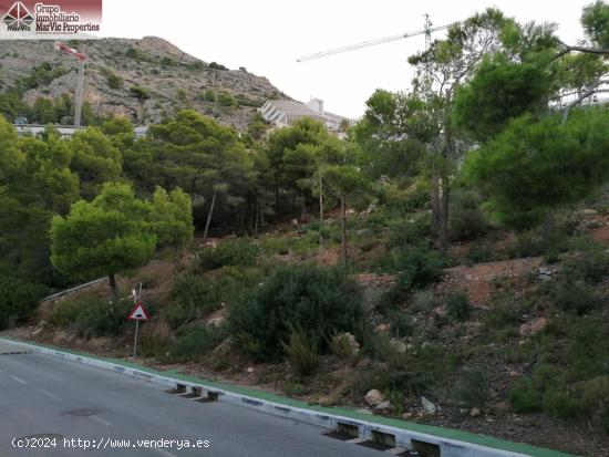 PARCELAS EN ALTEA HILLS CON LICENCIA Y PROYECTO BASICO CADA CASA - ALICANTE