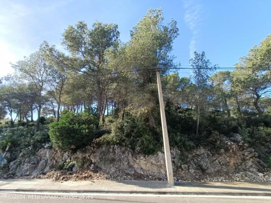 Terreno en Les Califòrnies, económico y con vistas - BARCELONA